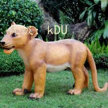 û