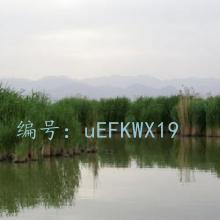 ź