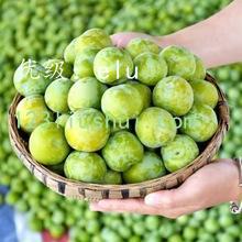 Ա