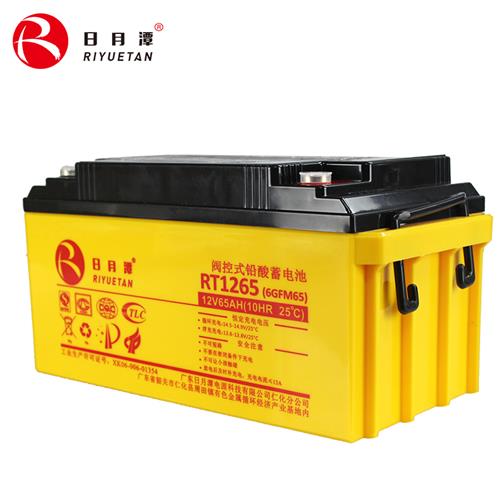 im电竞12V65AH RT系列EPS专用的标准AGM铅酸蓄电池